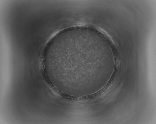 X0000111581208200907161418