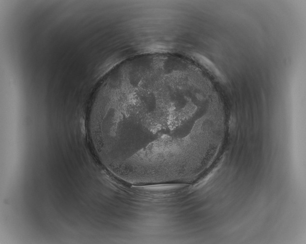 X0000111581209200907161418