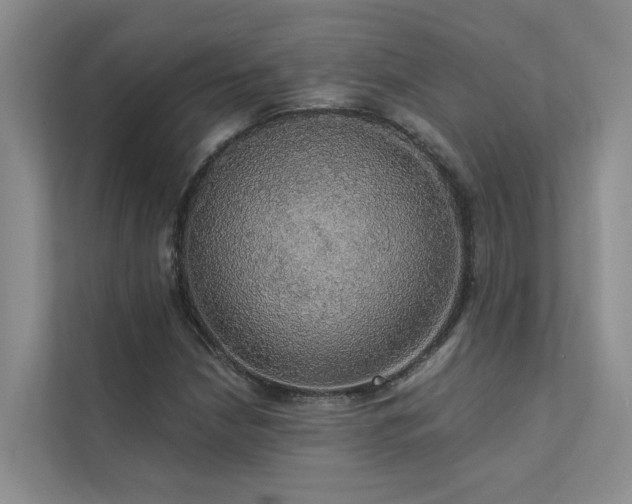 X0000111581210200907161418