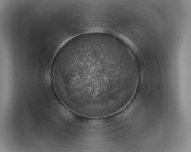 X0000111581212200907161418