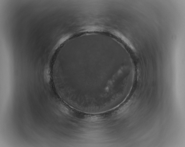X0000111581213200907161418