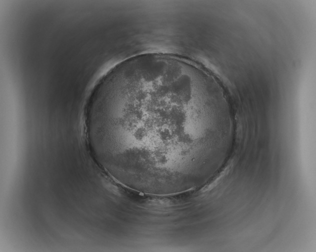 X0000111581215200907161418
