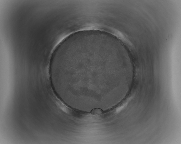 X0000111581216200907161418