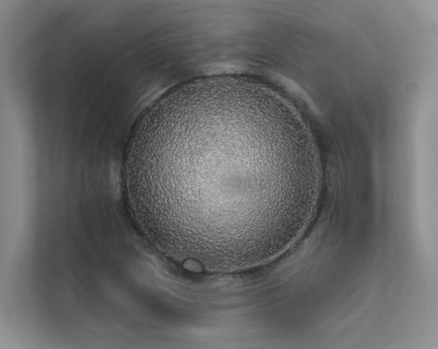 X0000111581217200907161418