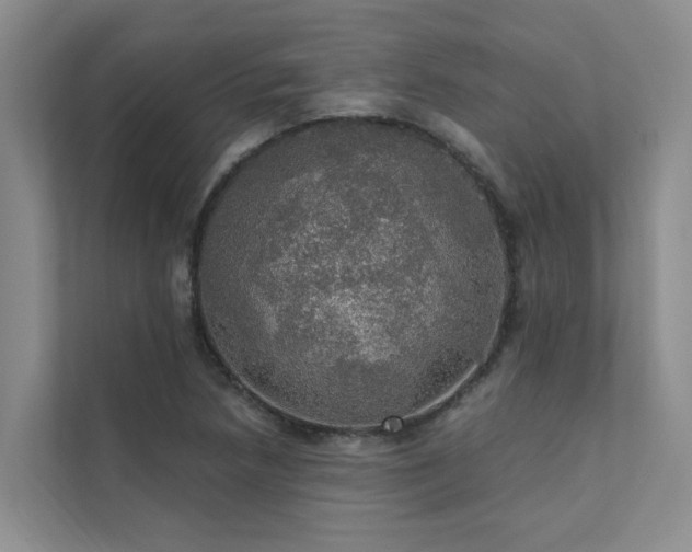 X0000111581218200907161418