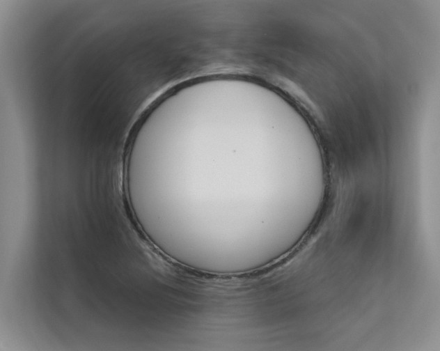 X0000111581220200907161418