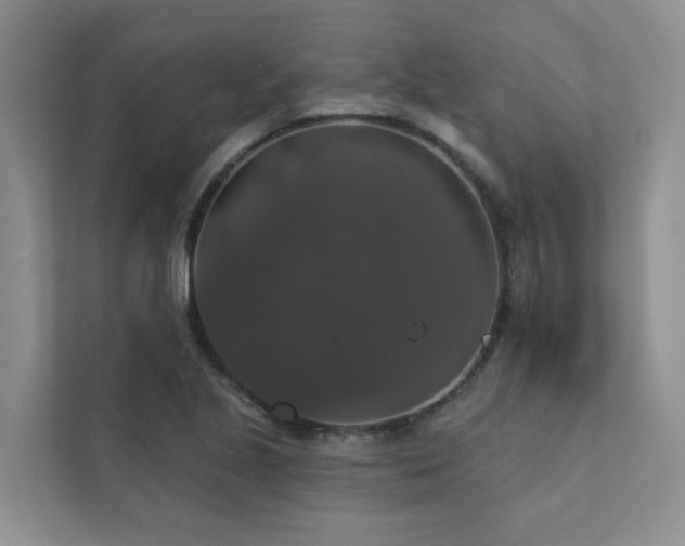 X0000111581221200907161418
