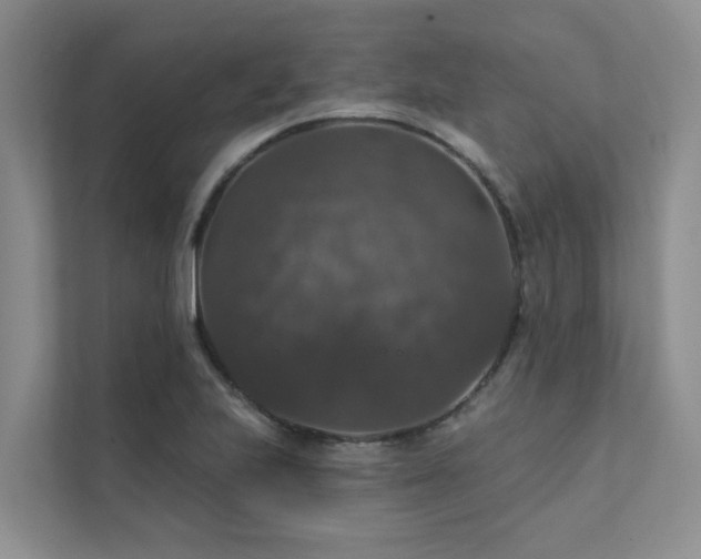 X0000111581223200907161418