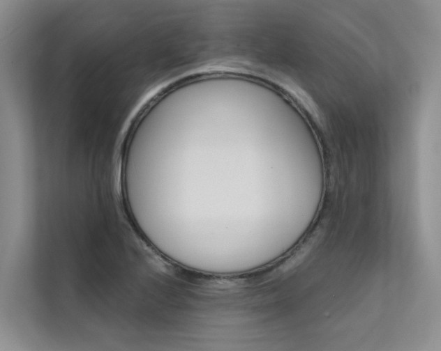 X0000111581224200907161418