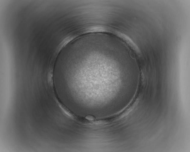 X0000111581225200907161418