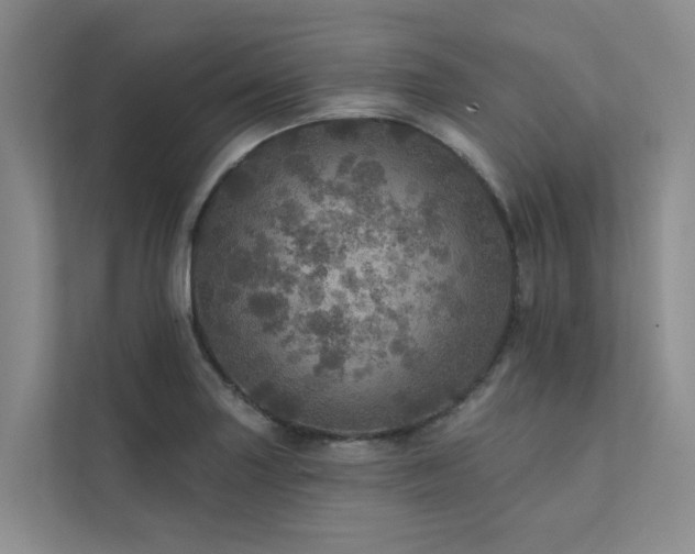 X0000111581227200907161418