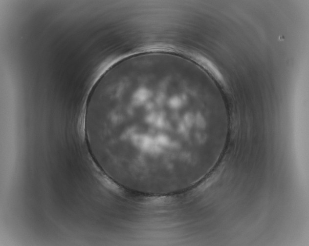 X0000111581228200907161418
