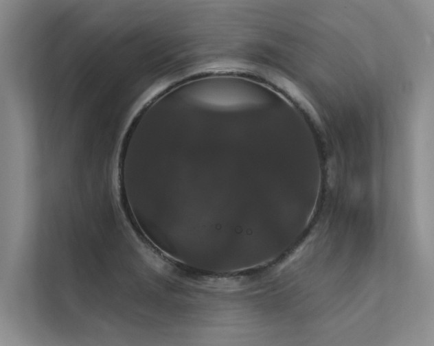 X0000111581229200907161418