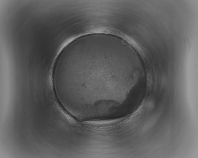 X0000111581230200907161418