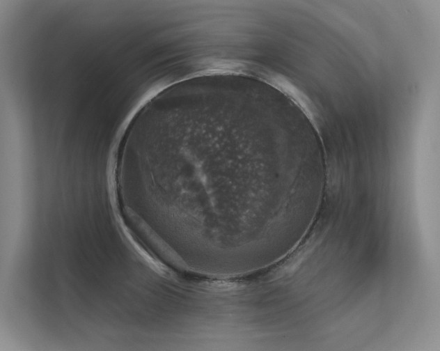 X0000111581235200907161418