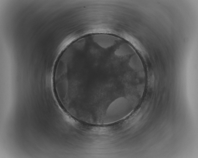 X0000111581237200907161418