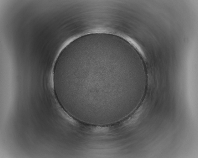 X0000111581238200907161418
