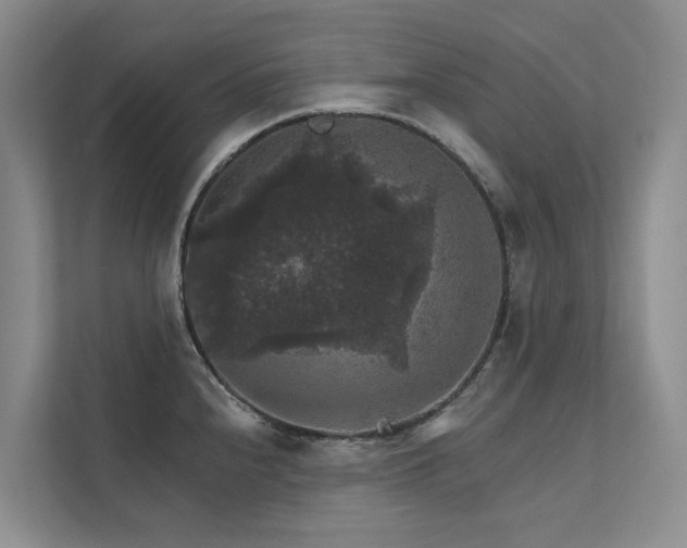 X0000111581240200907161418