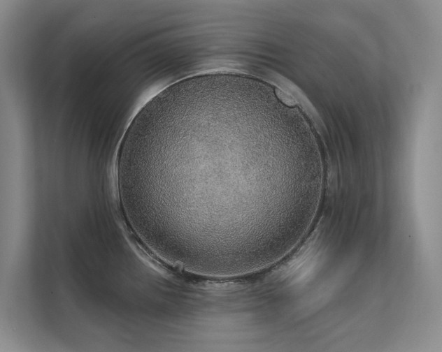 X0000111581242200907161418