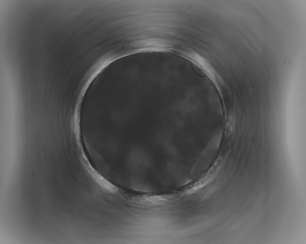 X0000111581243200907161418