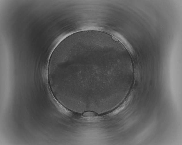 X0000111581244200907161418