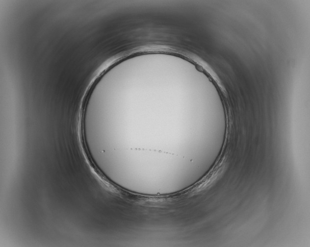 X0000111581245200907161418