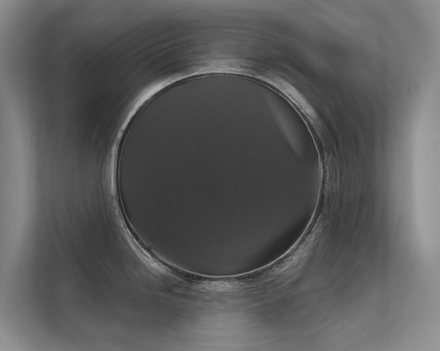 X0000111581246200907161418