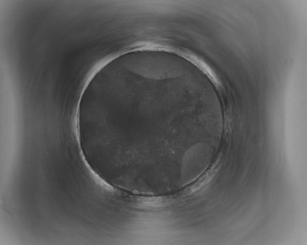X0000111581247200907161418