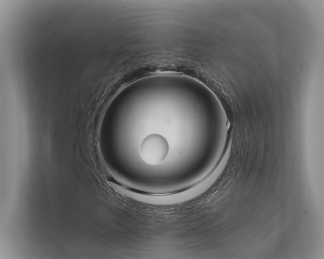 X0000111581249200907161418