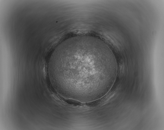 X0000111581250200907161418