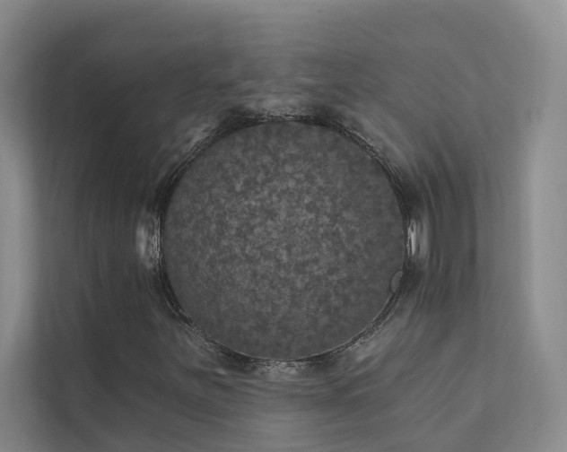 X0000111581251200907161418