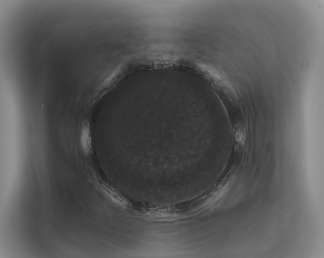 X0000111581252200907161418