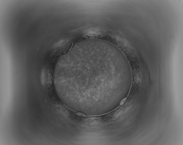 X0000111581253200907161418