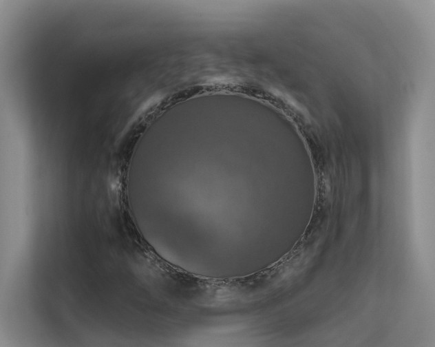 X0000111581254200907161418