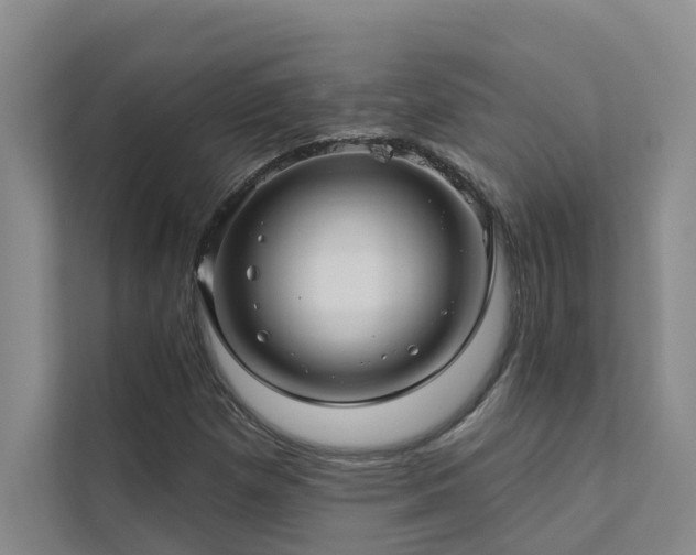 X0000111581257200907161418