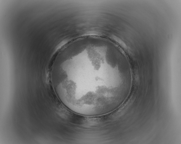 X0000111581258200907161418