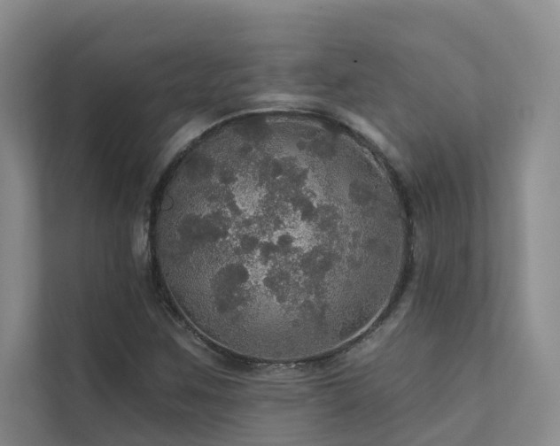 X0000111581259200907161418