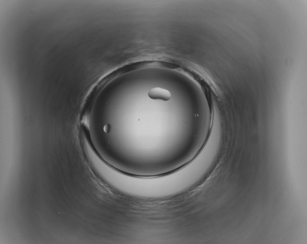 X0000111581260200907161418