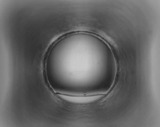 X0000111581264200907161418