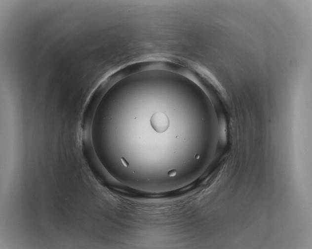 X0000111581268200907161417