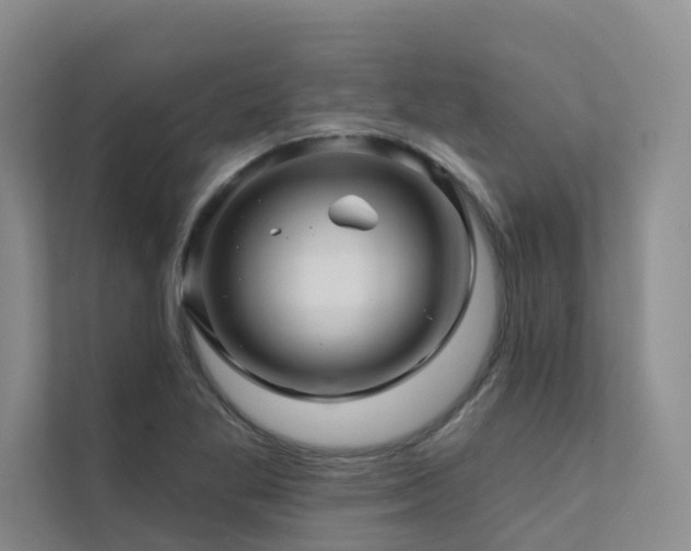 X0000111581269200907161417