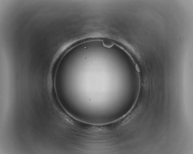 X0000111581270200907161417