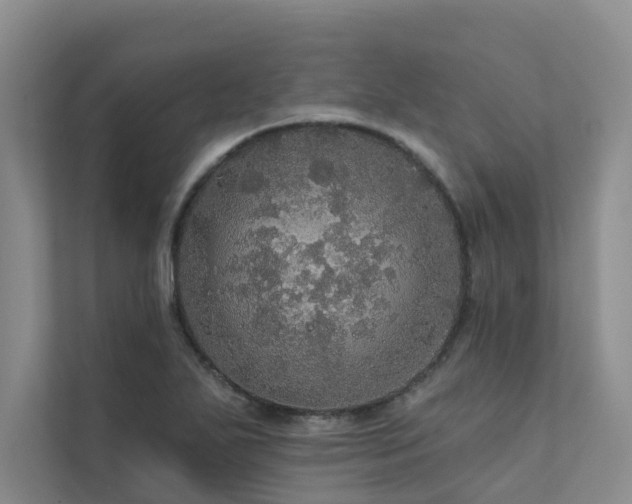 X0000111581271200907161417