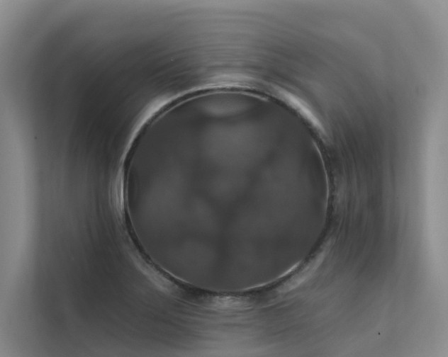 X0000111581275200907161417