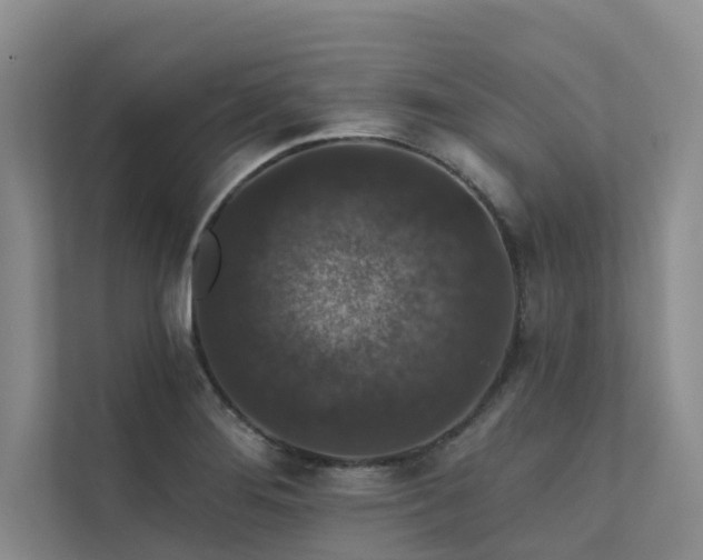 X0000111581276200907161417