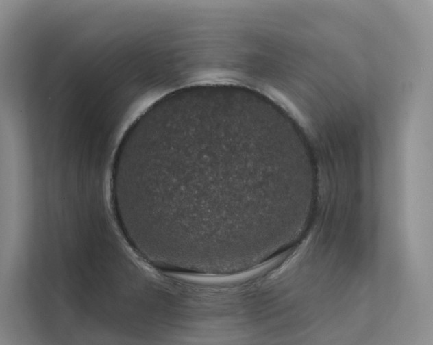 X0000111581277200907161417