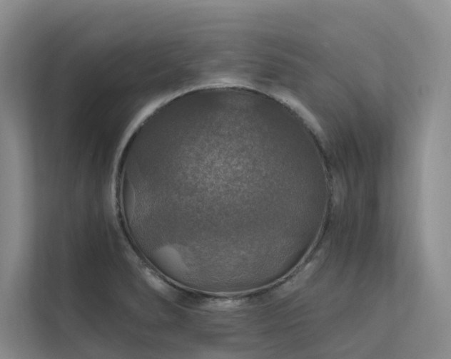 X0000111581278200907161417