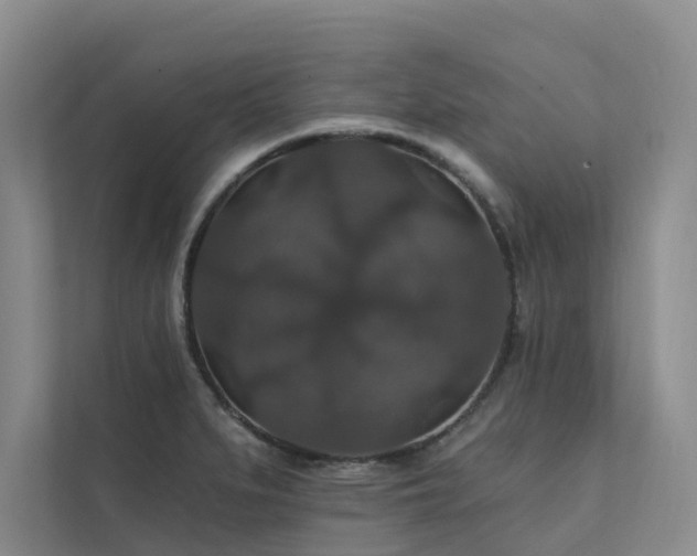 X0000111581279200907161417