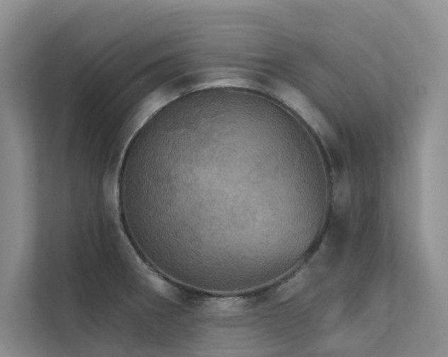 X0000111581282200907161417