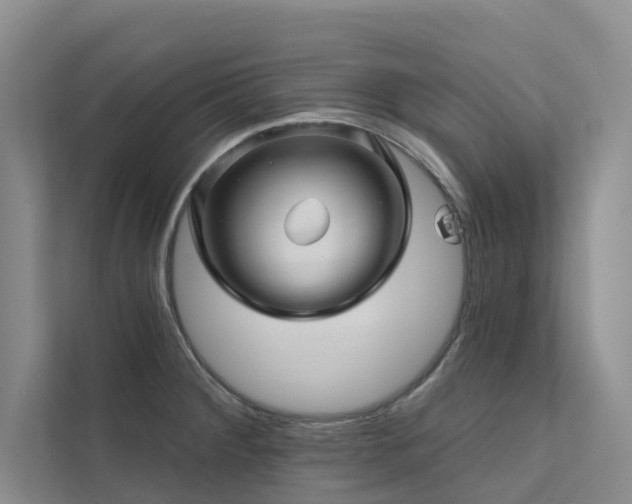 X0000111581284200907161417